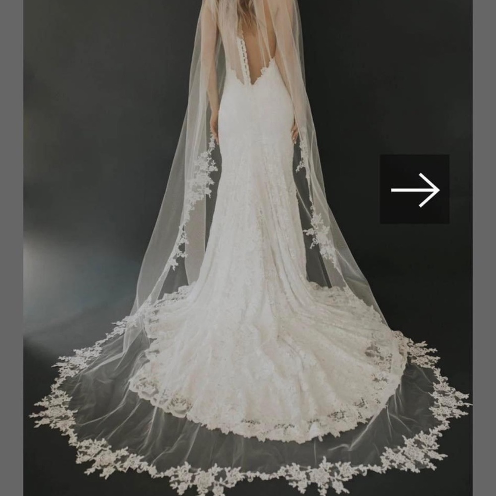 Brand new untamed petals veil